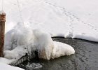 kilde vinter.jpg